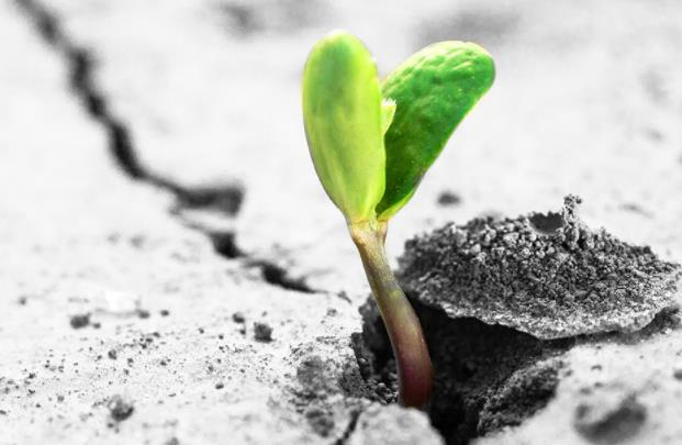 人到四十有存款是你做人的底气,人到40有多少存款才算及格