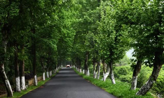 浙东唐诗之路自行车,浙江唐诗之路新昌山水