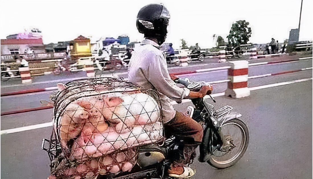 狼哥越南 (权哥带你了解越南)