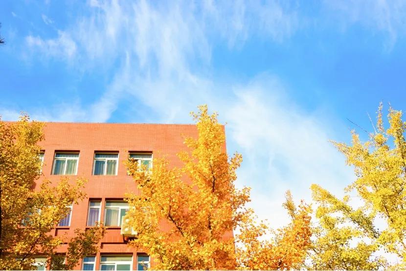 校名中含第二的大学,校名极其相似的两所大学差距