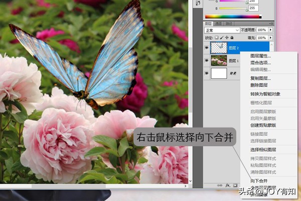 ps基础教程新手入门如何合并图层,ps图层向下合并和图层合并的区别