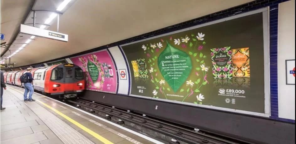 芒种观察丨英国花草茶品牌Pukka：让品牌散发价值观的魅力