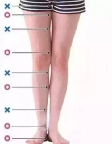 什么样的腿是最好看的,什么样的腿好看