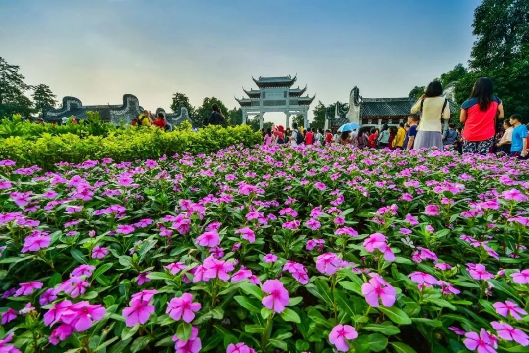 必打卡的宝藏公园,这些宝藏打卡地分分钟让人美到