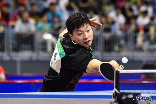 乒乓球接发球基本技术：搓、推、挑、摆