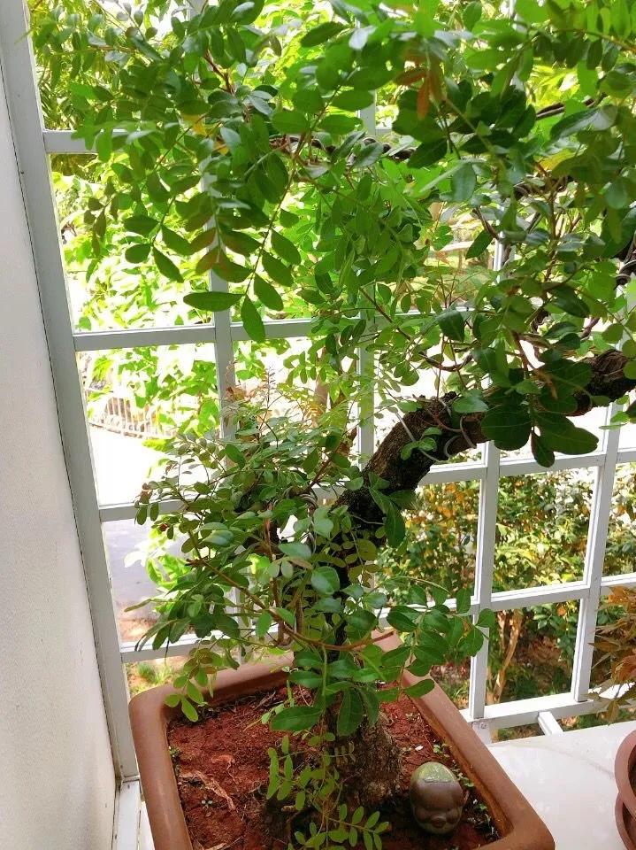 教你如何避开假货买到真品,一张图告诉你怎样分辨假货