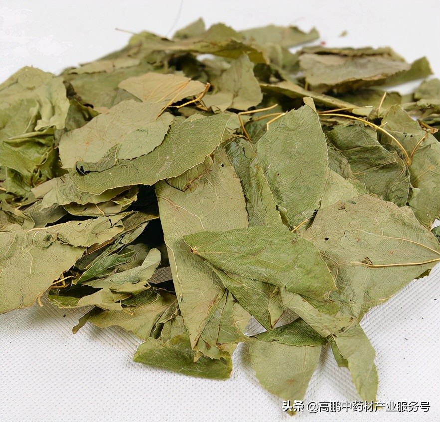 高鹏分析中药材走势,高鹏说药材当归