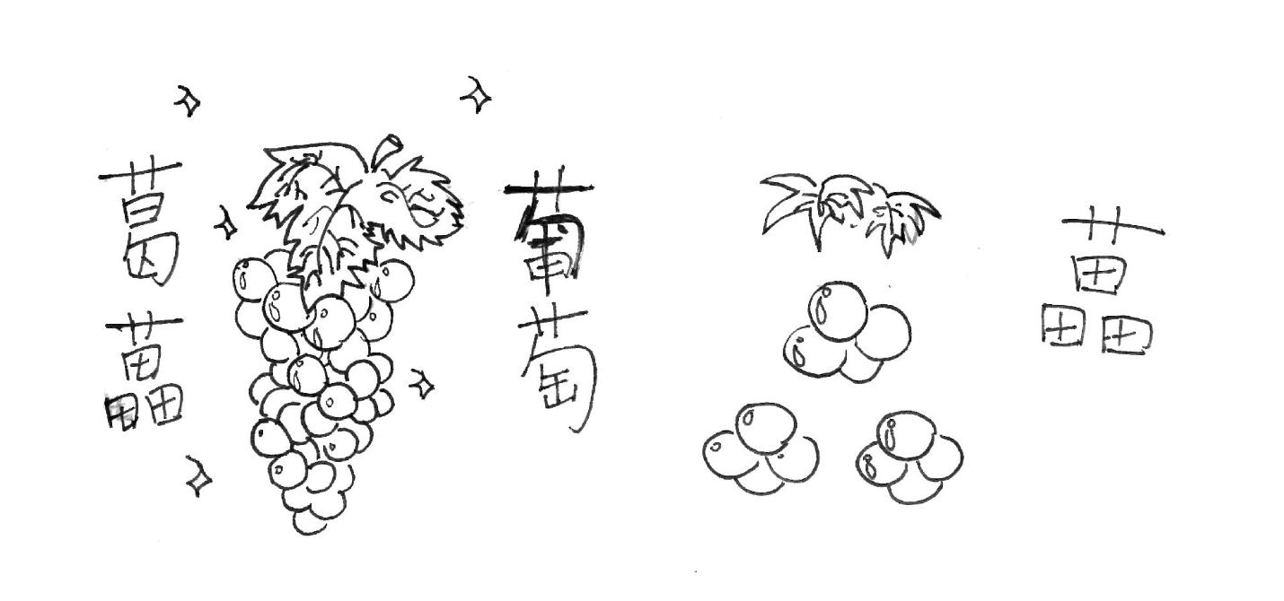 葡萄酒小知识全集,酒类小知识葡萄酒简史