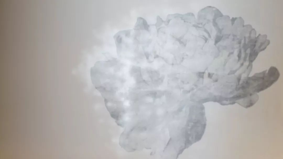 海错图爱情笔记写的是什么,海错图笔记中的错