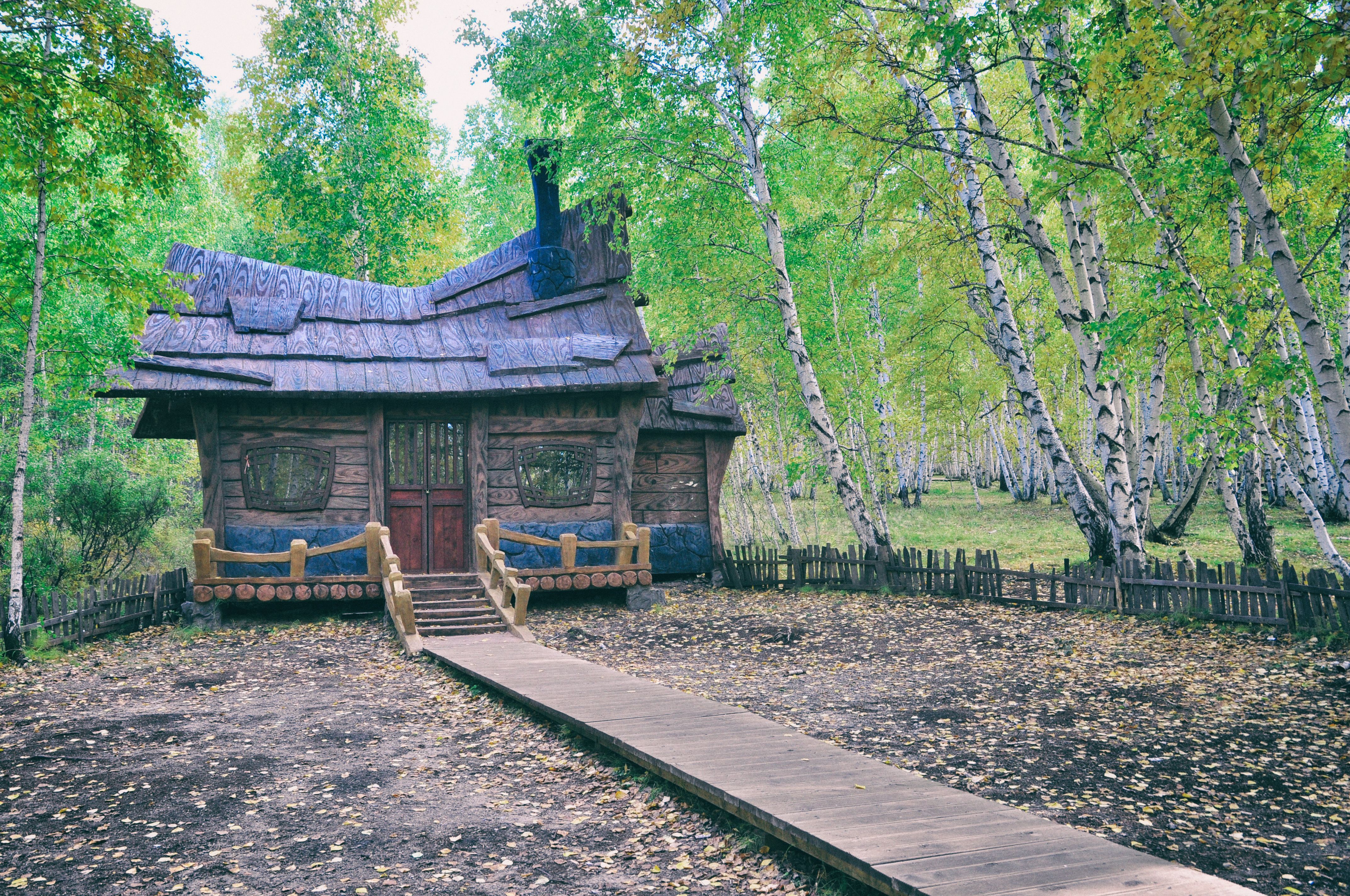 东北游记攻略,东北游记最新视频