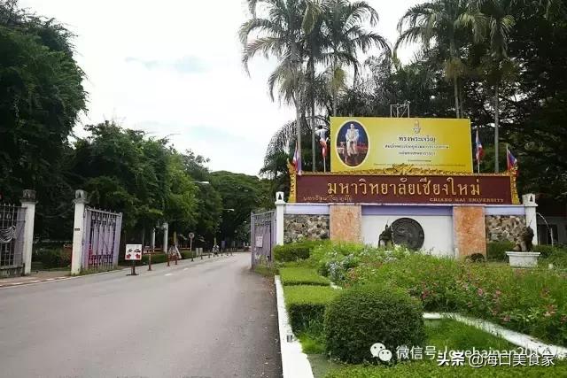 泰国清迈自由行全攻略!从海南出国比去趟*藏西**都方便...