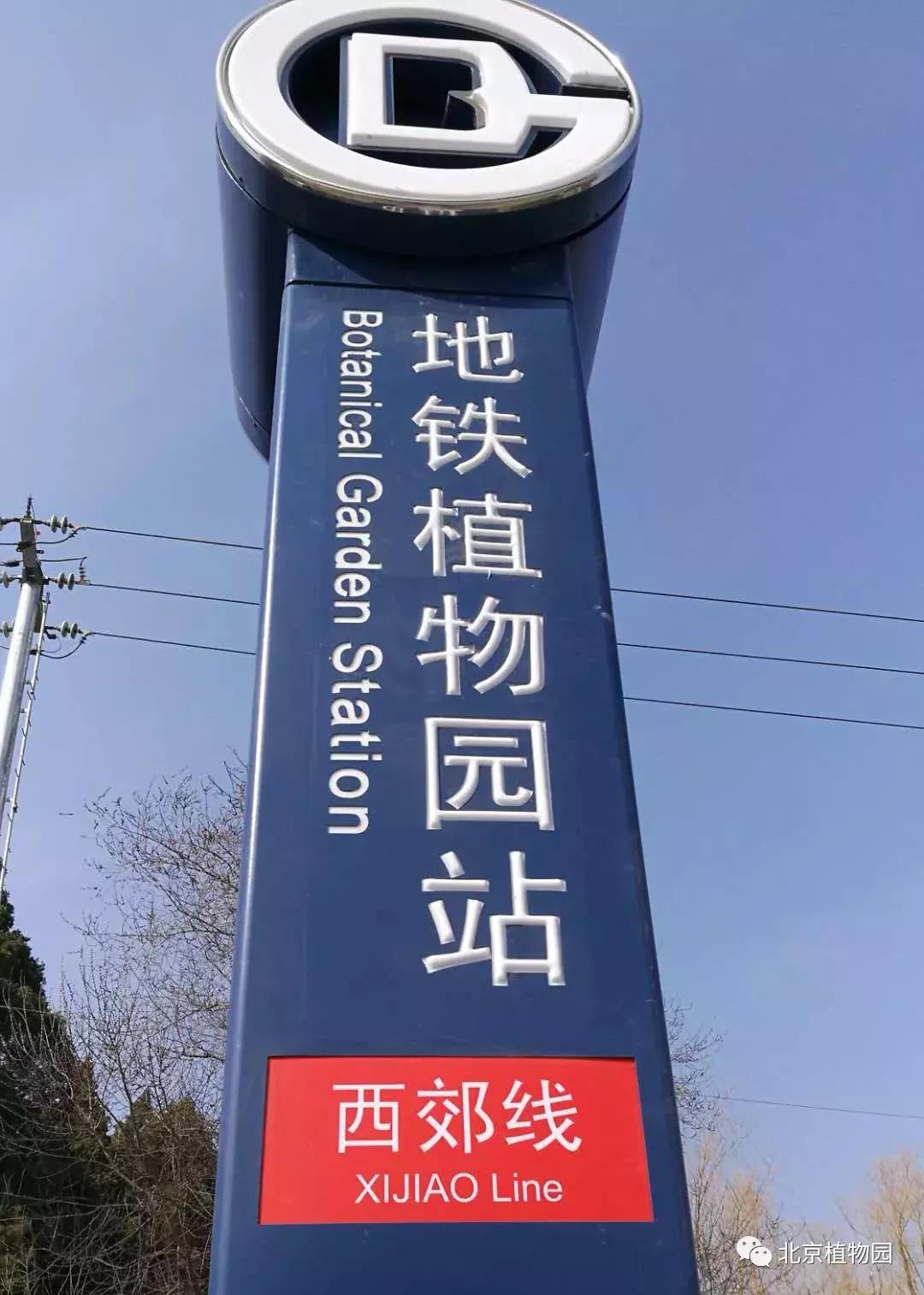 中国科学院植物研究所北京植物园,北京植物园有牡丹花还有什么花