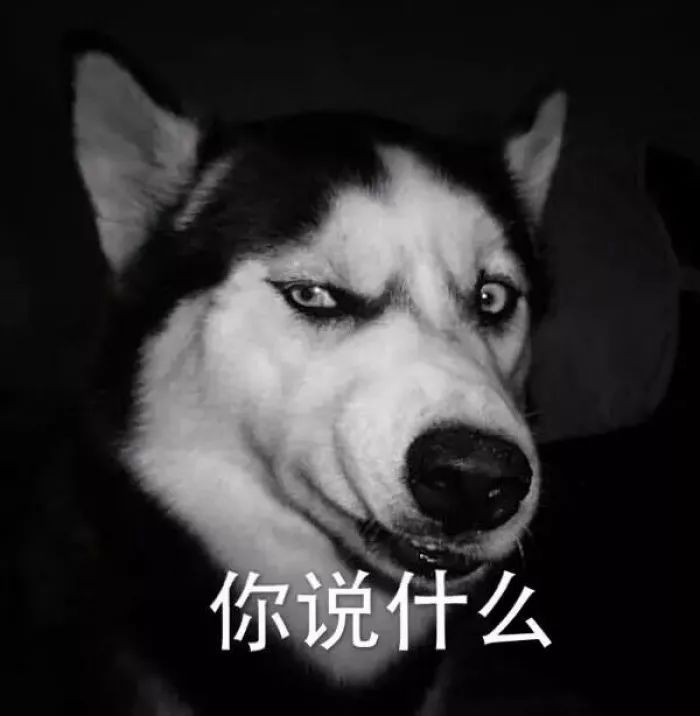 二哈关在笼子里一直叫怎么办,二哈进家里赶不走怎么回事