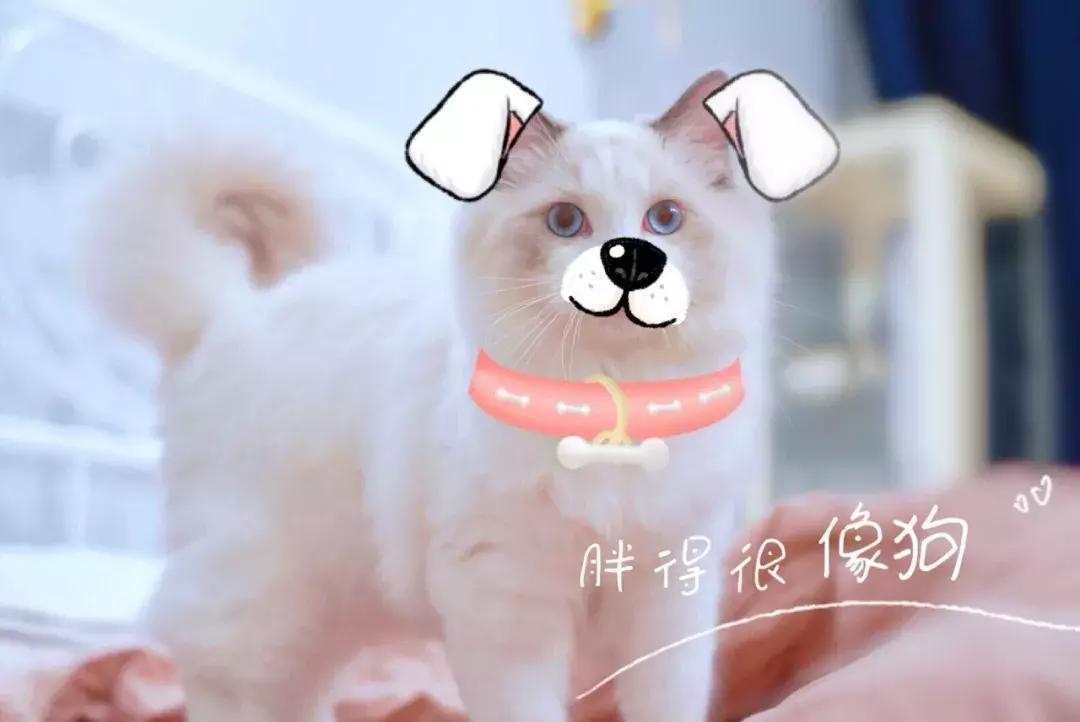 暇步士撤店,暇步士撤柜男装