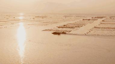 福建霞浦旅游真实照,福建霞浦风景点