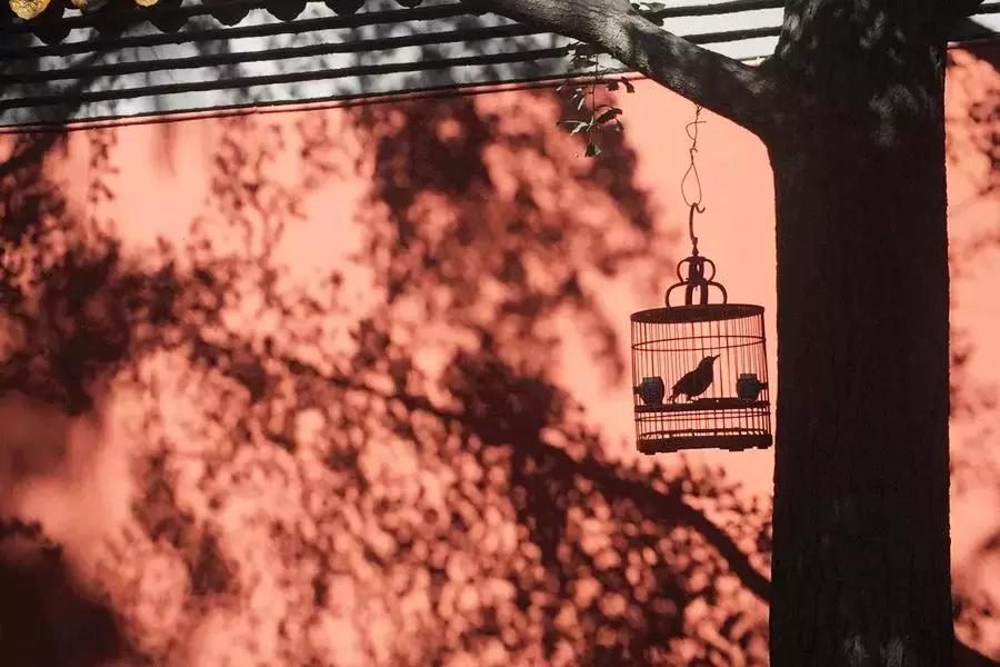 玩是人生最高的境界,玩是一种人生态度