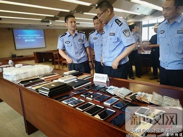 宠物店买宠物猪被骗,宠物店卖药品被查