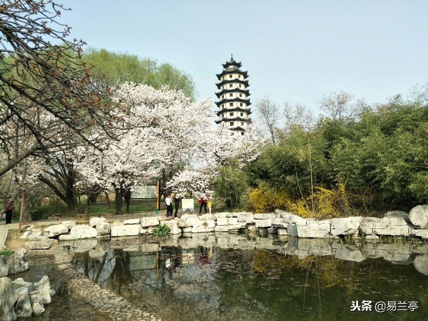 2018年的我在做什么,2018年的我