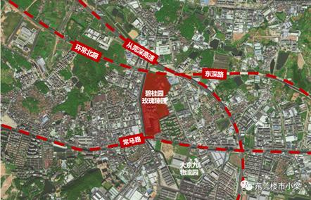 东莞常平碧桂园玫瑰臻园,东莞疫情最新楼盘