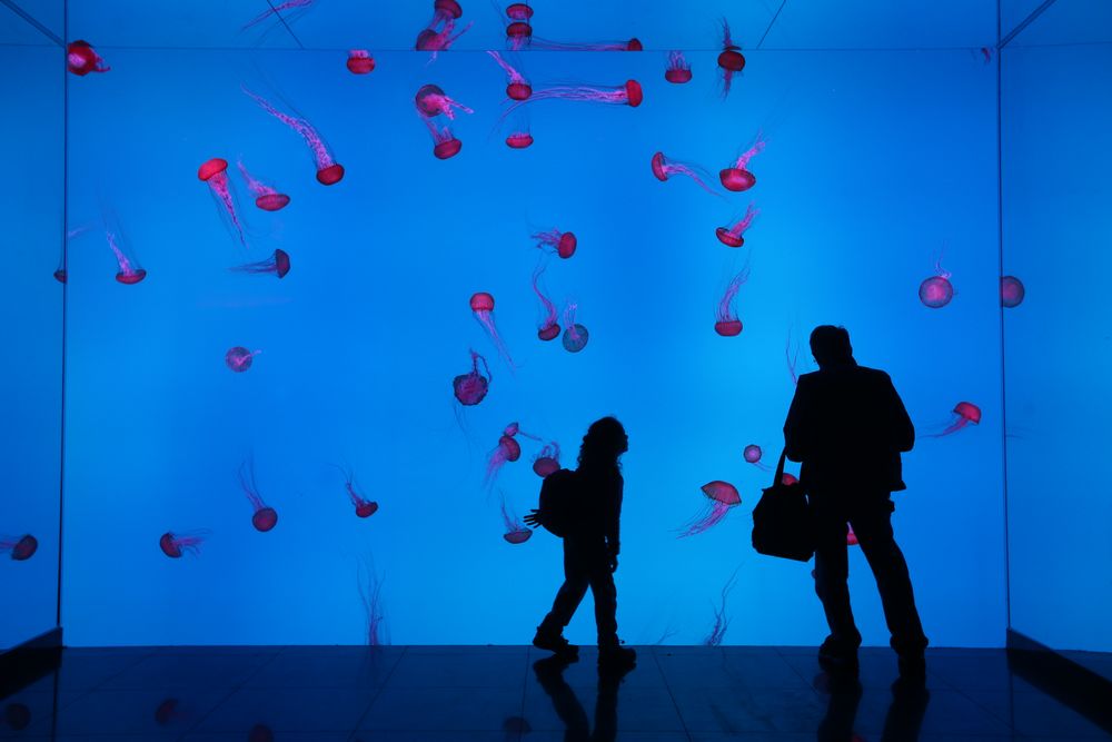 百变style多伦多 (多伦多的百变style)