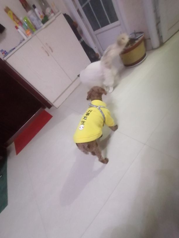 命根子被踢了（二）