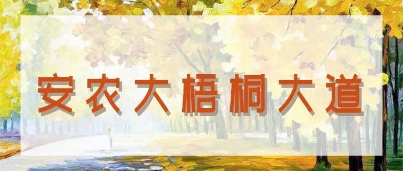 合肥秋季风景打卡地方排行榜,合肥最值得打卡地