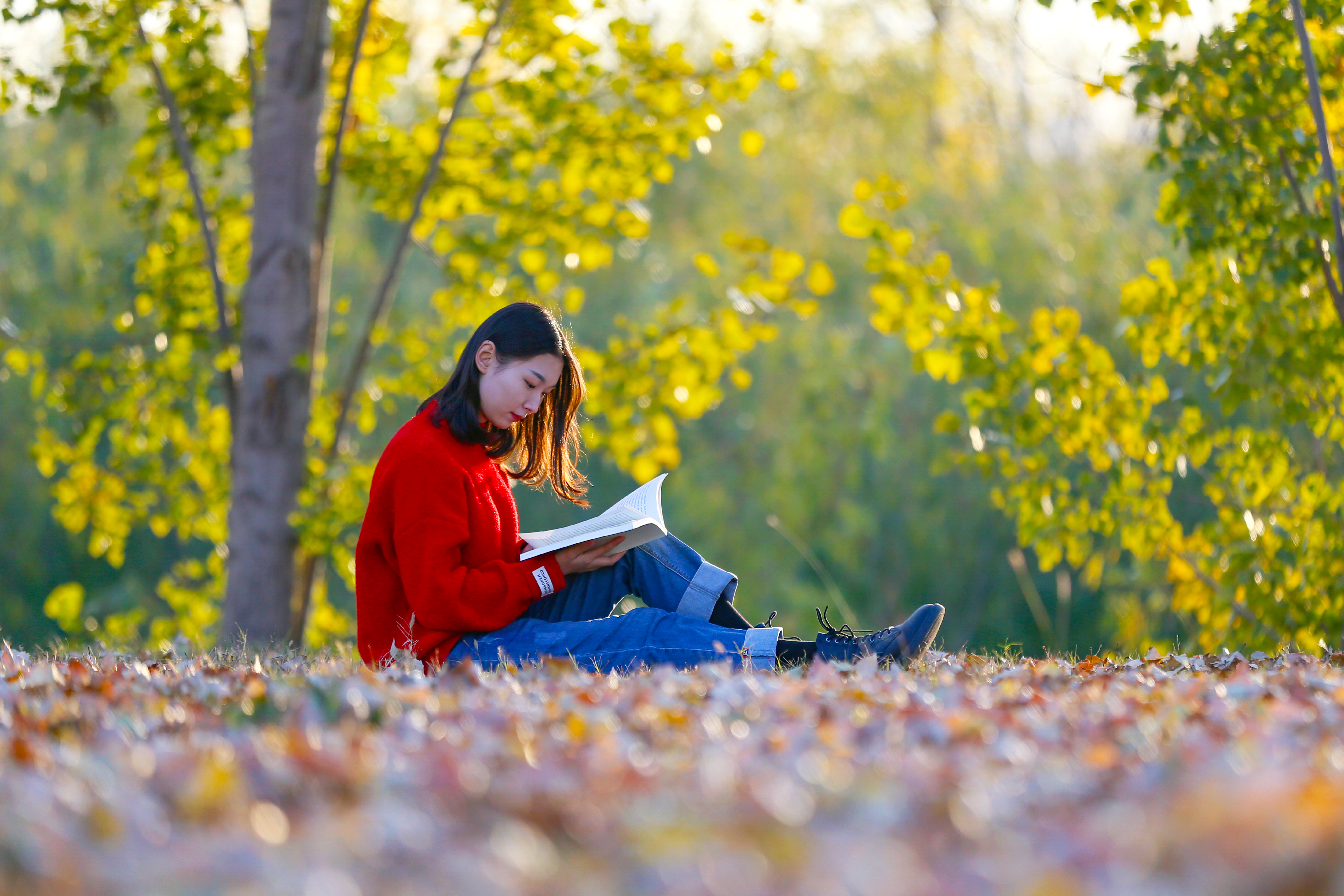 兰考新貌摄影集,兰考摄影团队