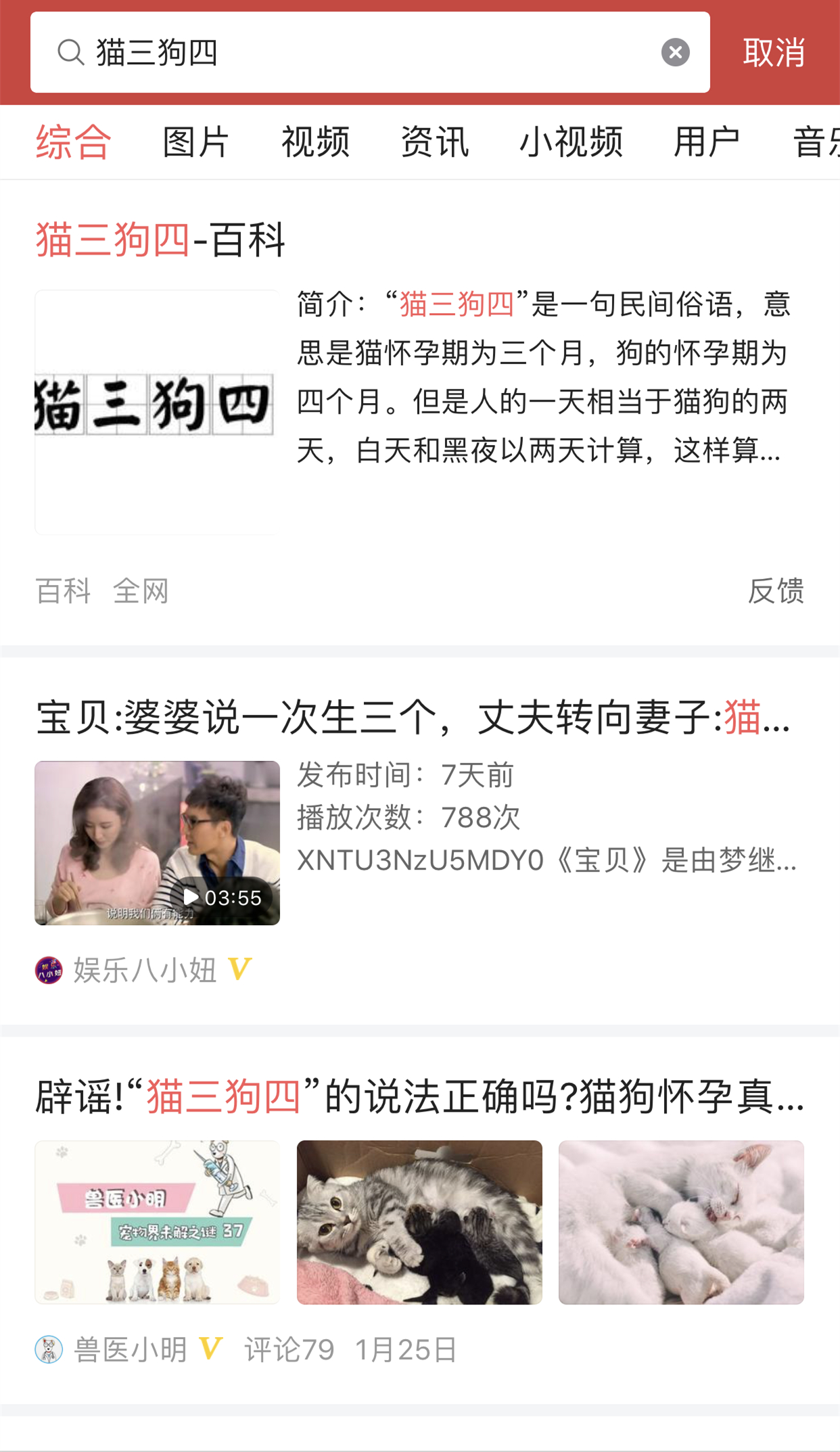 剖腹产影响狗的寿命吗,剖腹产对宠物医生来说简单吗