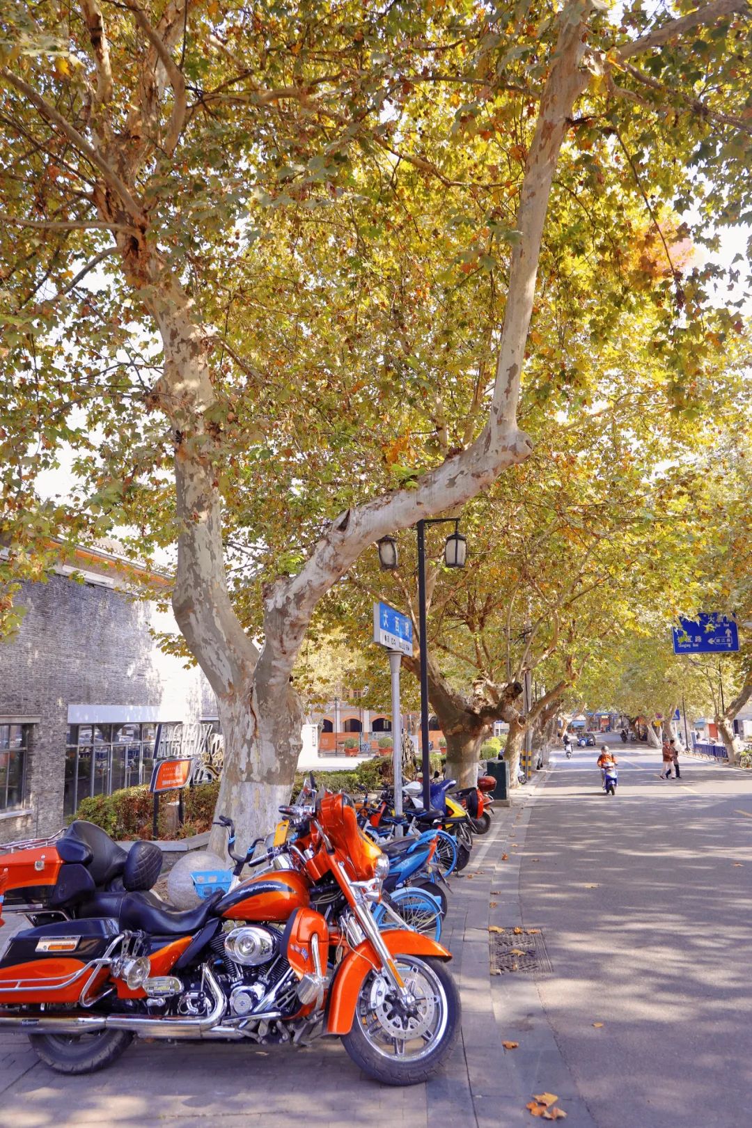 江苏最深藏的千年古镇,江苏值得一去的古城