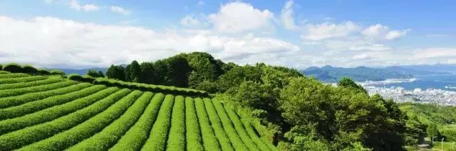 国外如何做好乡村振兴研究,国外乡村振兴案例