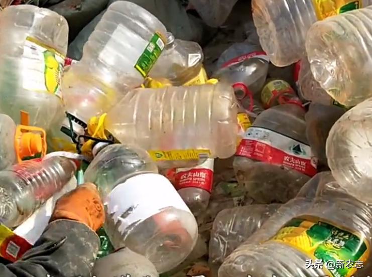 塑料瓶回收创业,家庭小作坊致富项目可回收
