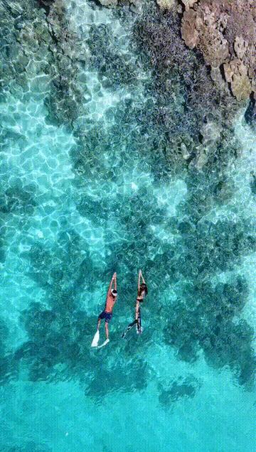 潜水圣地推荐帕劳,帕劳潜水旅游攻略