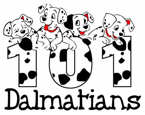 斑点狗小时候长大后的样子,斑点狗小时候和长大的视频