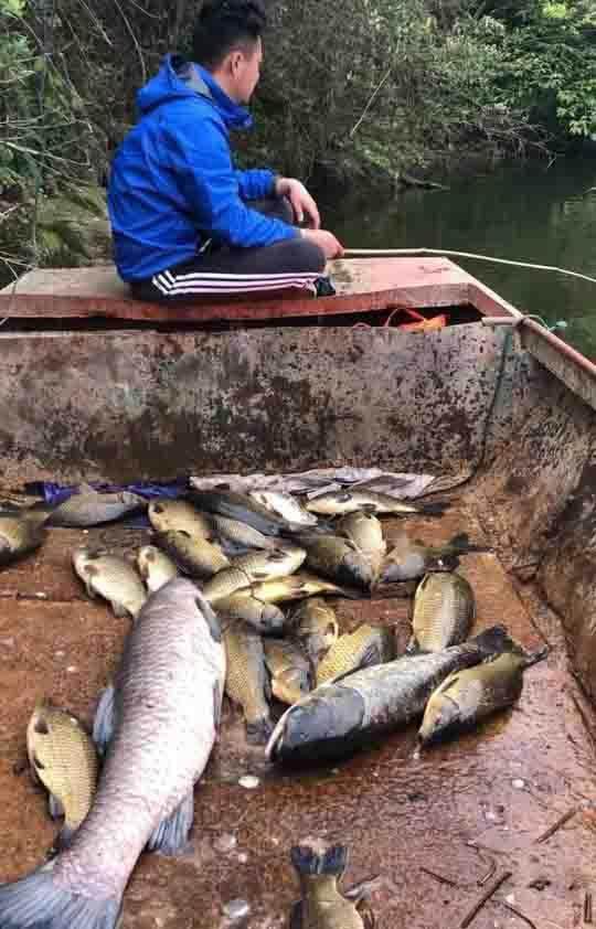 钓鱼人的精神视频,钓鱼人的精神经典语句
