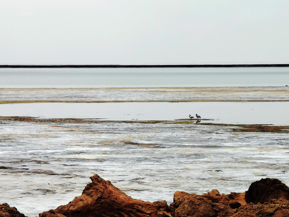 315国道戈壁,酷道自驾