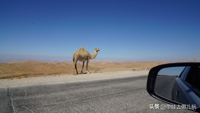 以色列约旦繁星之旅,约旦以色列之旅