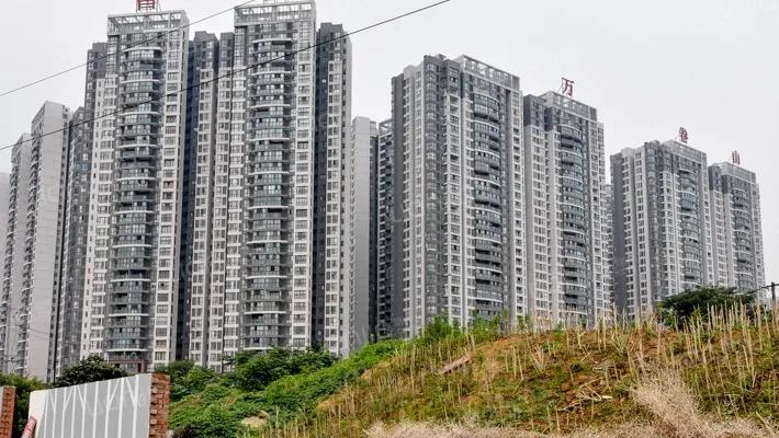 武侯区两自一包教育改革,两自一包改革最新消息