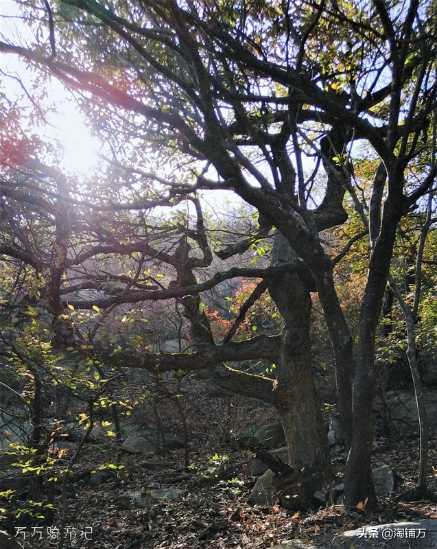 趁青春多折腾,趁着年轻四处游一游