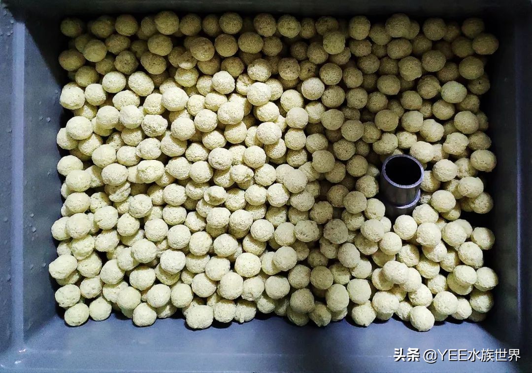 培菌净水最好的装置,高效培菌快速净水