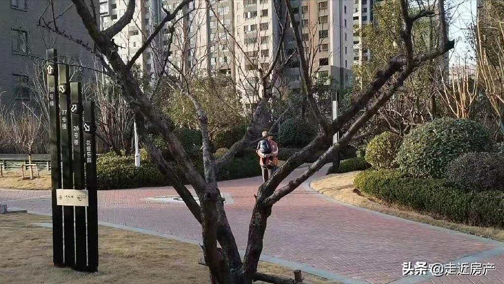 走近房产踩盘：建业十八城，住高品质的建业真的很幸福吗？