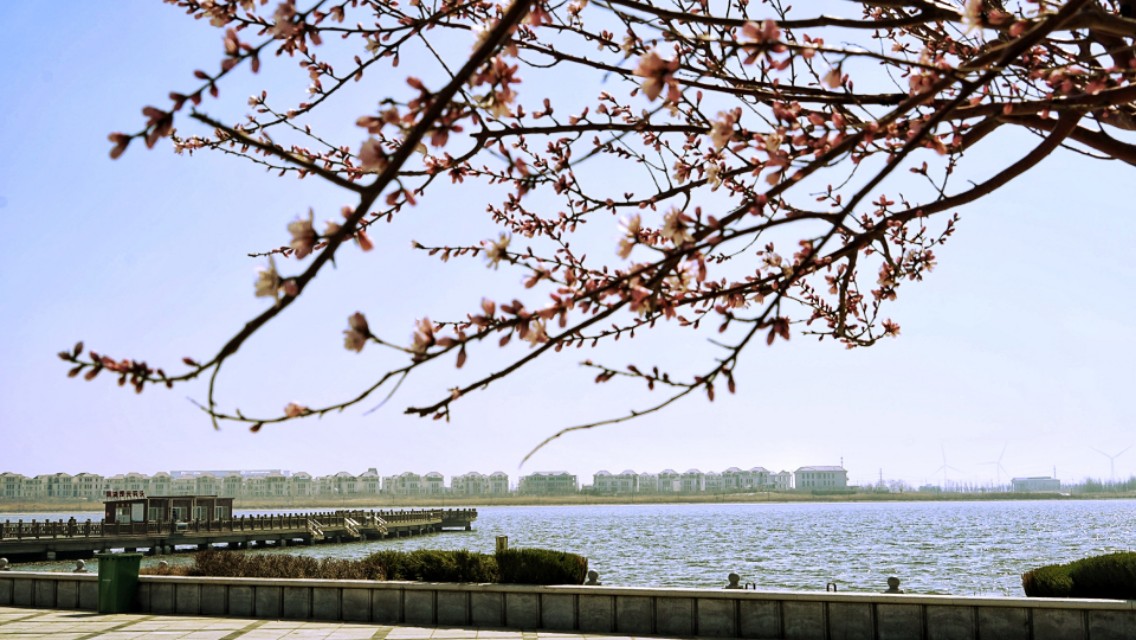 营口明湖广场可以烧烤吗,营口明湖广场夜市