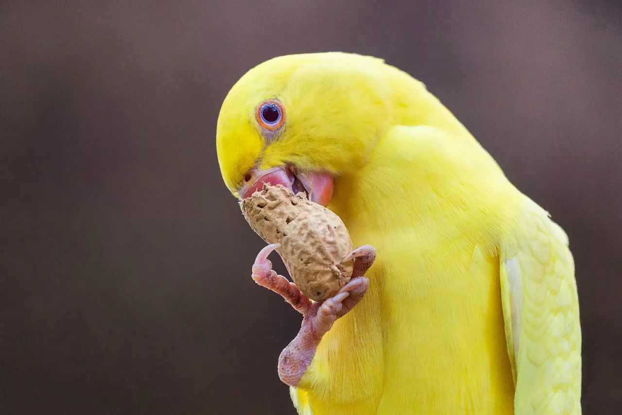 特别的萌给特别的你