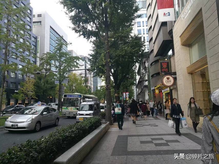 豪华游轮日本游旅游攻略,特价日本豪华游轮旅游攻略