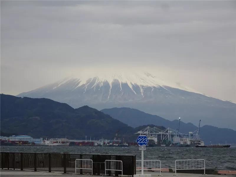 日本买口罩的经历,现在去日本买口罩靠谱吗
