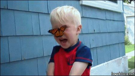 世上最毒的花园,最毒的花园有多可怕