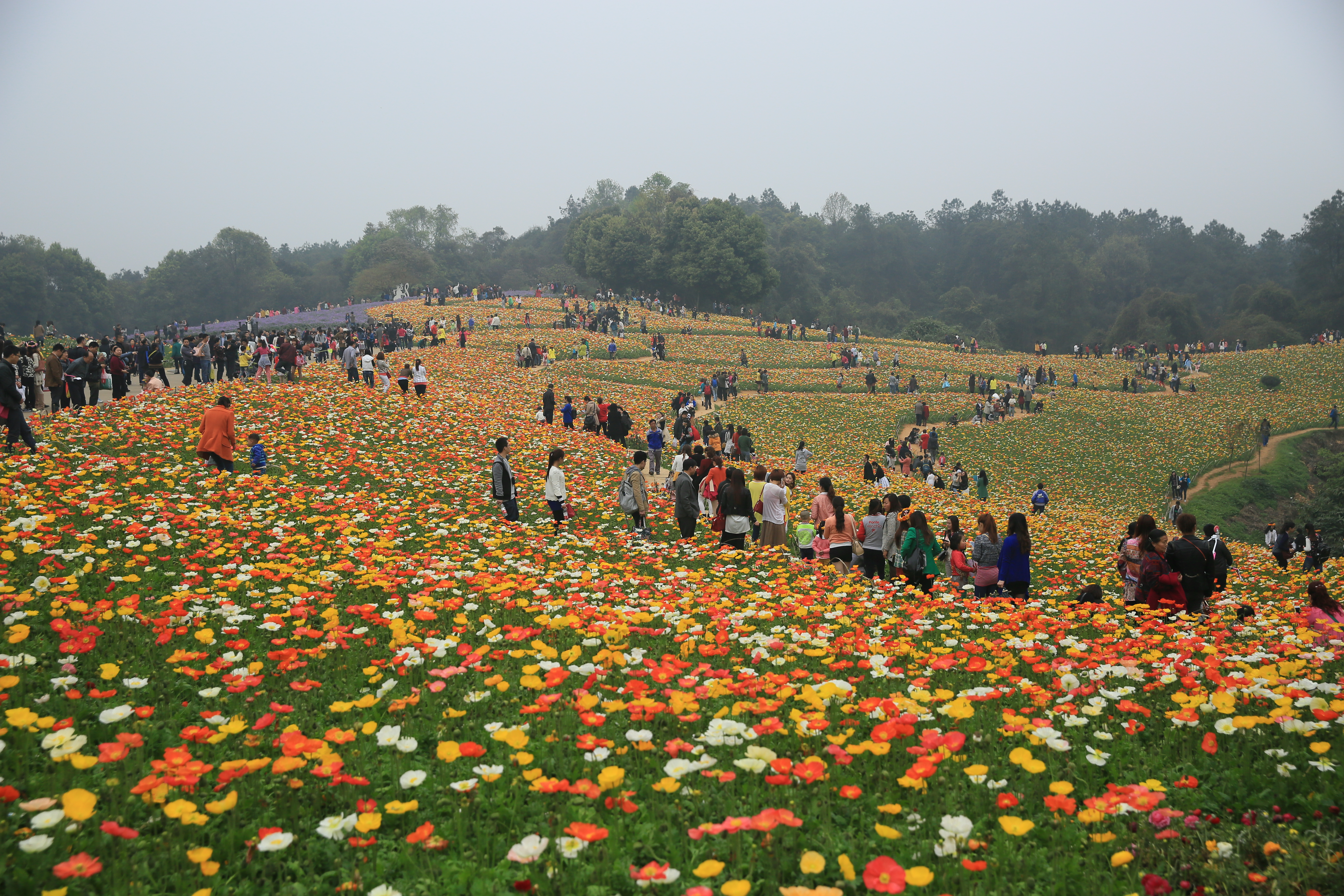 钂叉睙鐭宠薄婀栧ソ鐜╀笉,钂叉睙鐭宠薄婀栧ソ鑰嶅悧