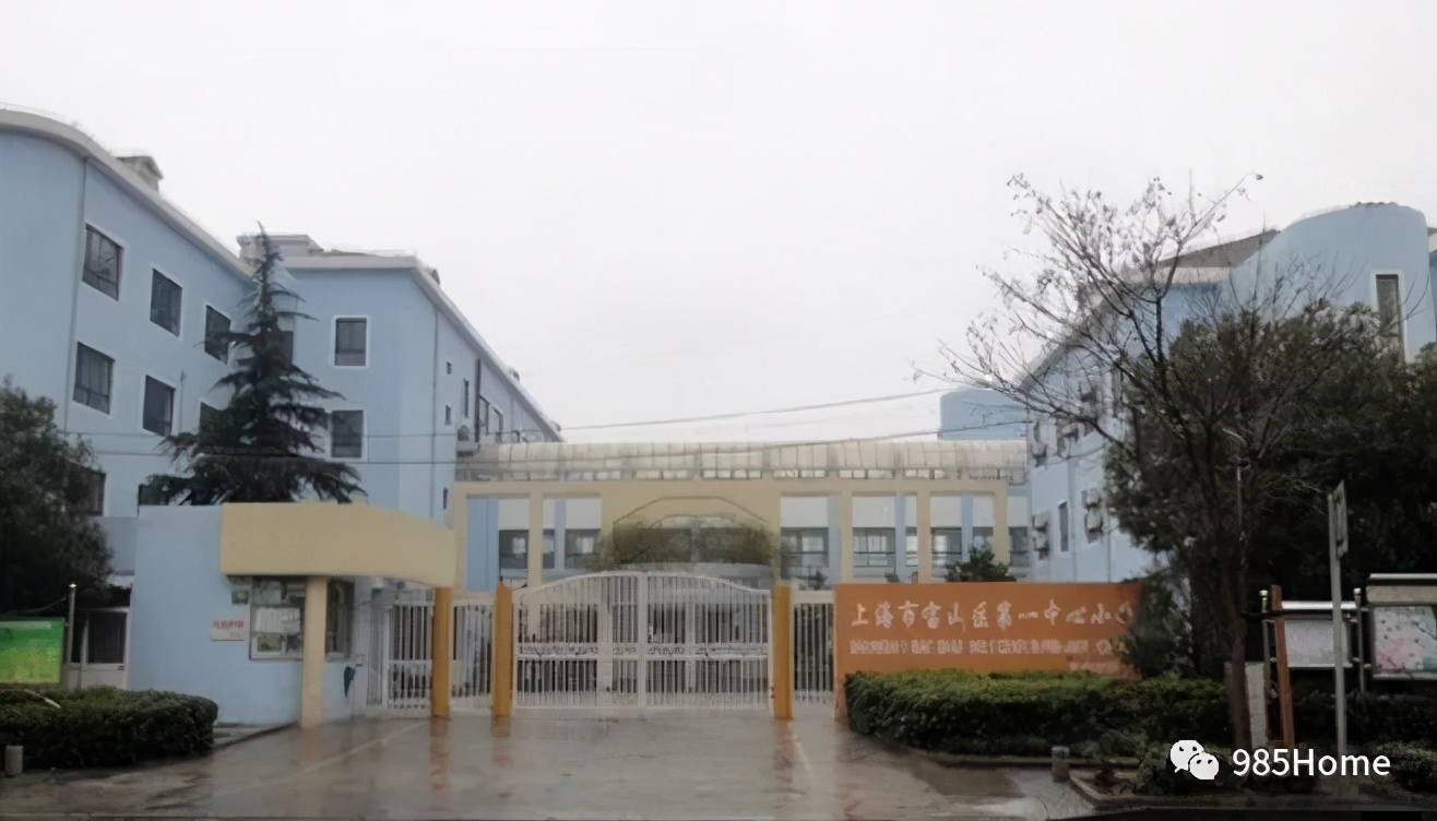 宝山区第一梯队小学,宝山区第一中心小学