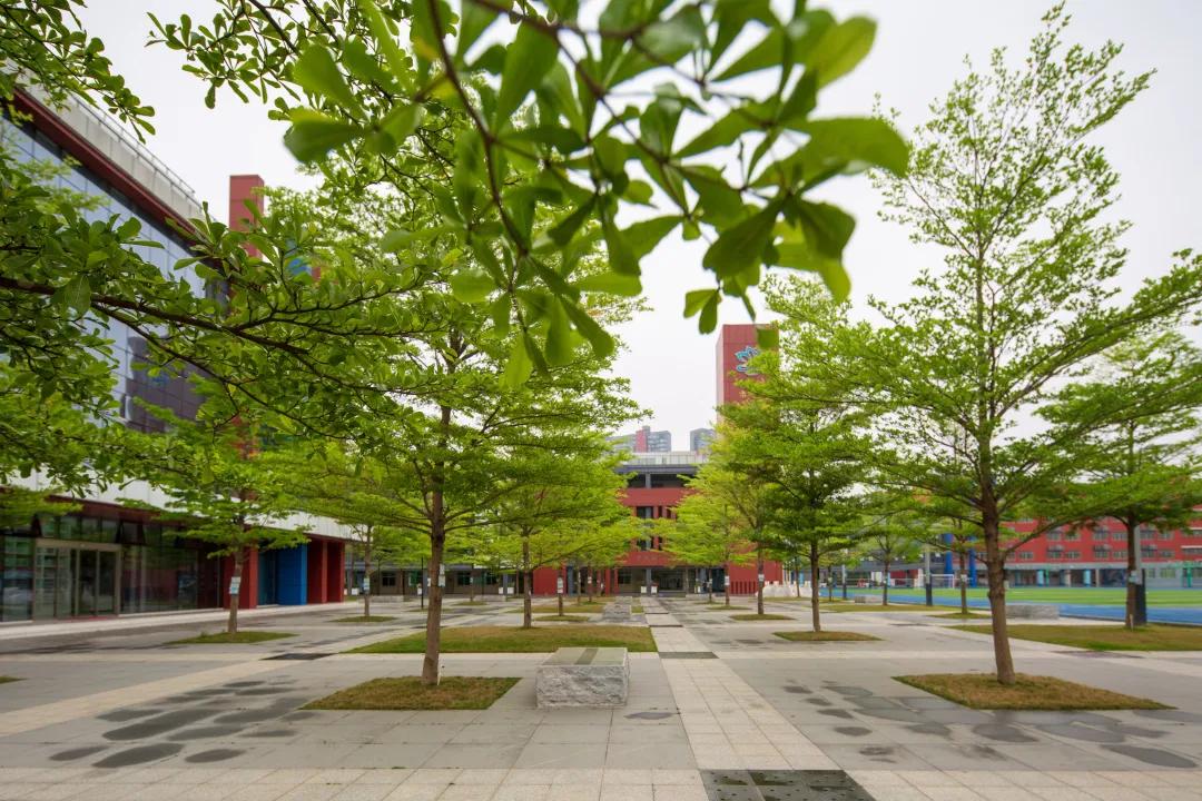 深圳建文外国语学校招生条件,深圳市建文外国语学校是否转公立