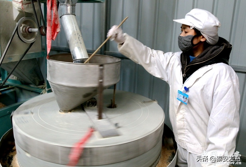 致富新项目快速盈利方法,赚钱新模式创业项目