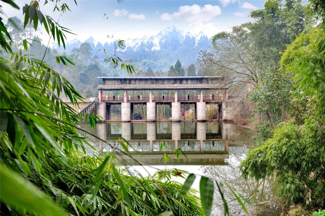 井研这五年丨门坎镇：“竹韵门坎”蝶变跃升